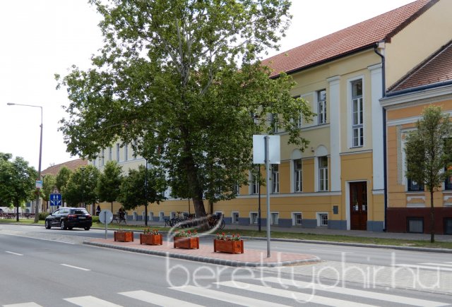 Virágos Berettyóújfalu 01